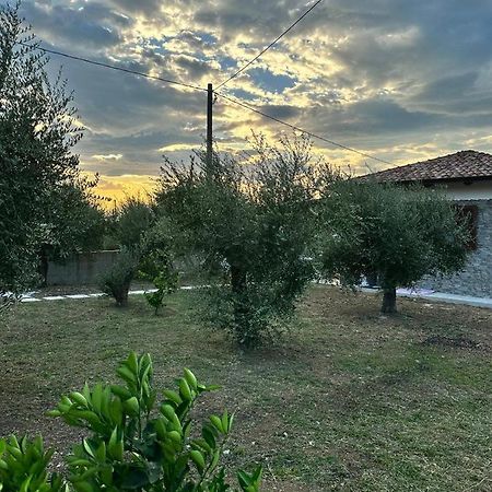 Garden House Villa Bellizzi Екстериор снимка